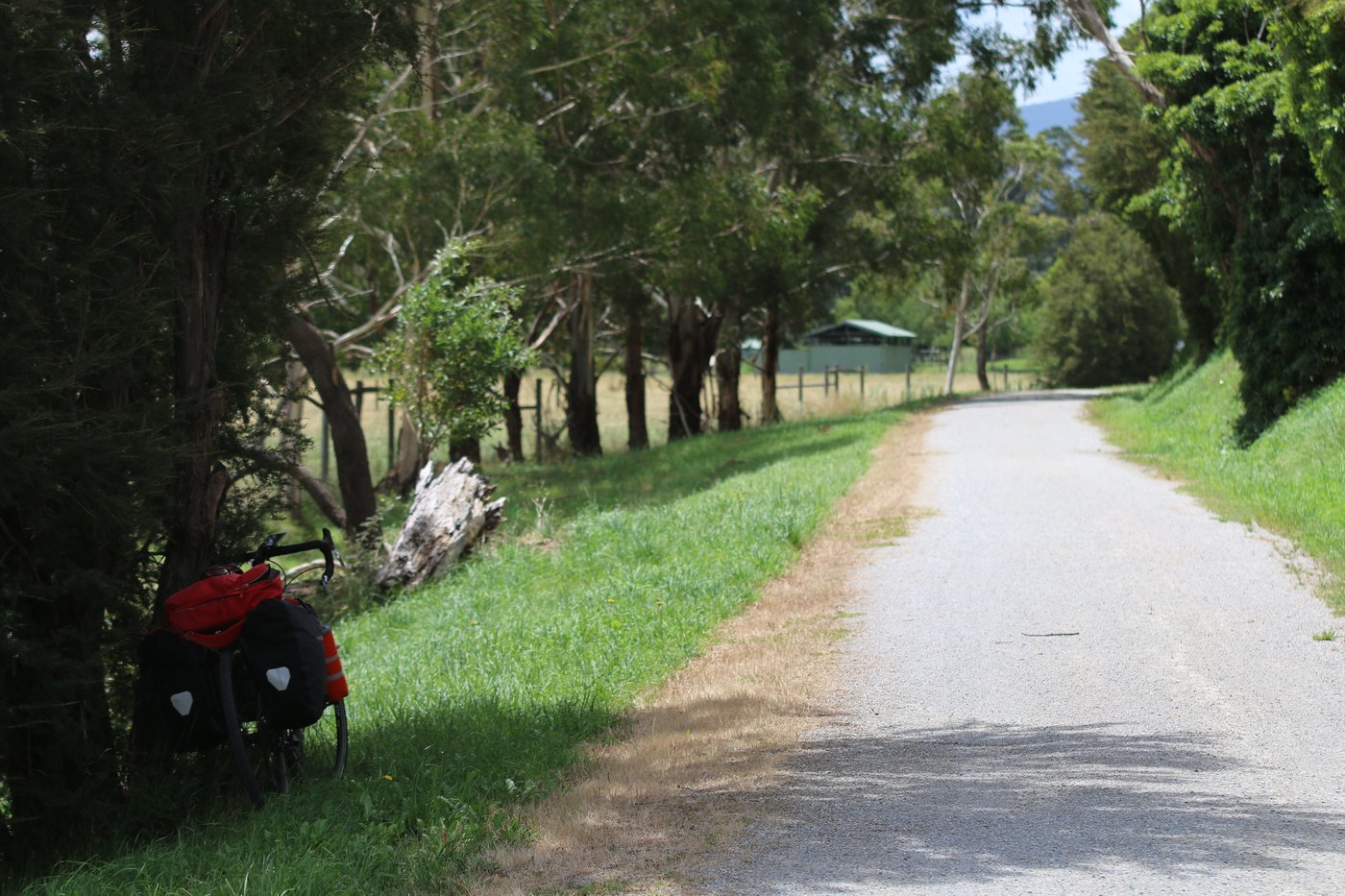 My bike leaning beside a gravel trail