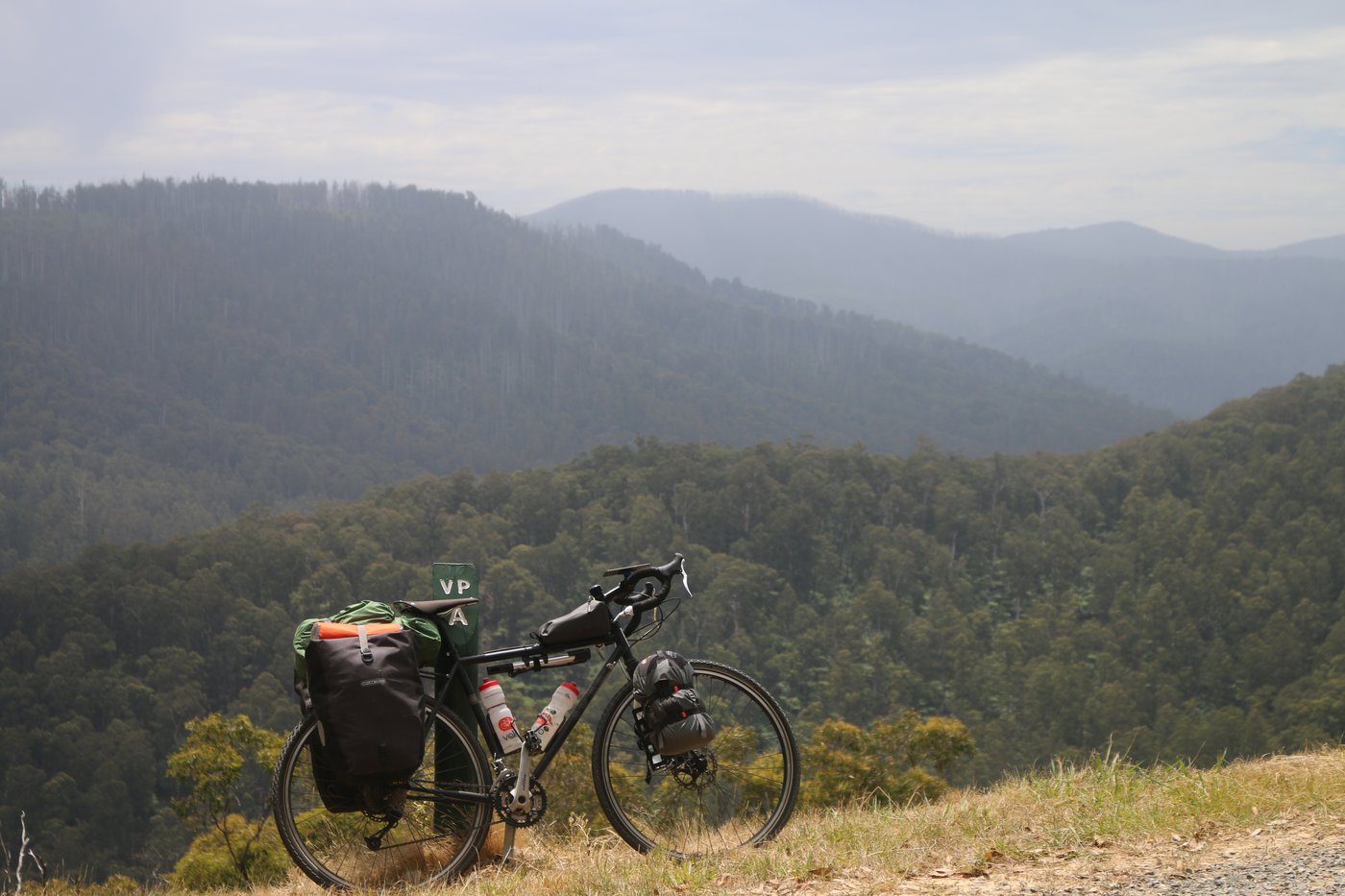 Looking out over the forested hills during a break on a steep climb.