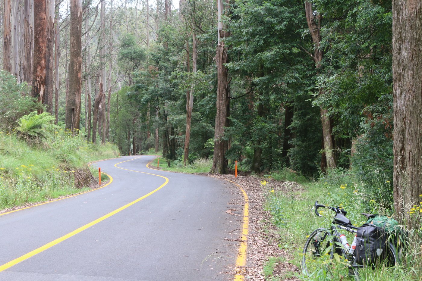 A steep, winding road descends through the hills of Victoria, Australia