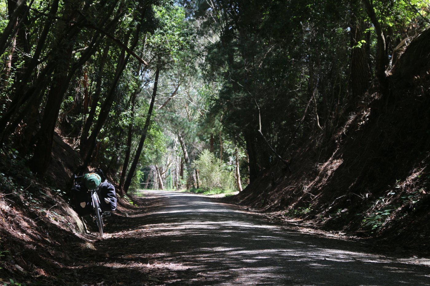 The relief of shade from the beating sun. Victoria, Australia