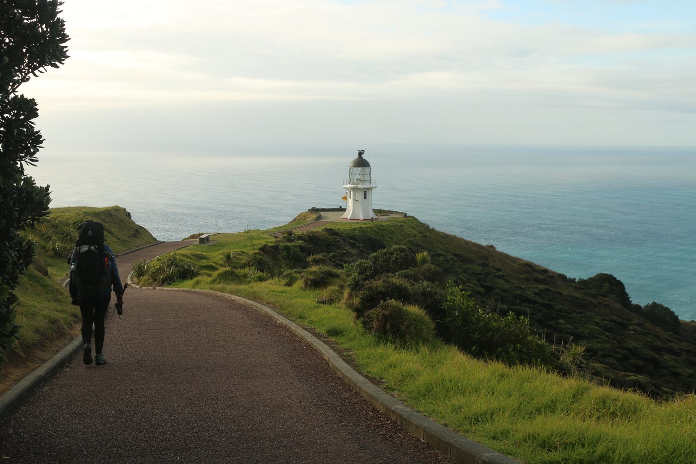 Rose walks the path toward the lighthouse. Cape Reinga, Aotearoa