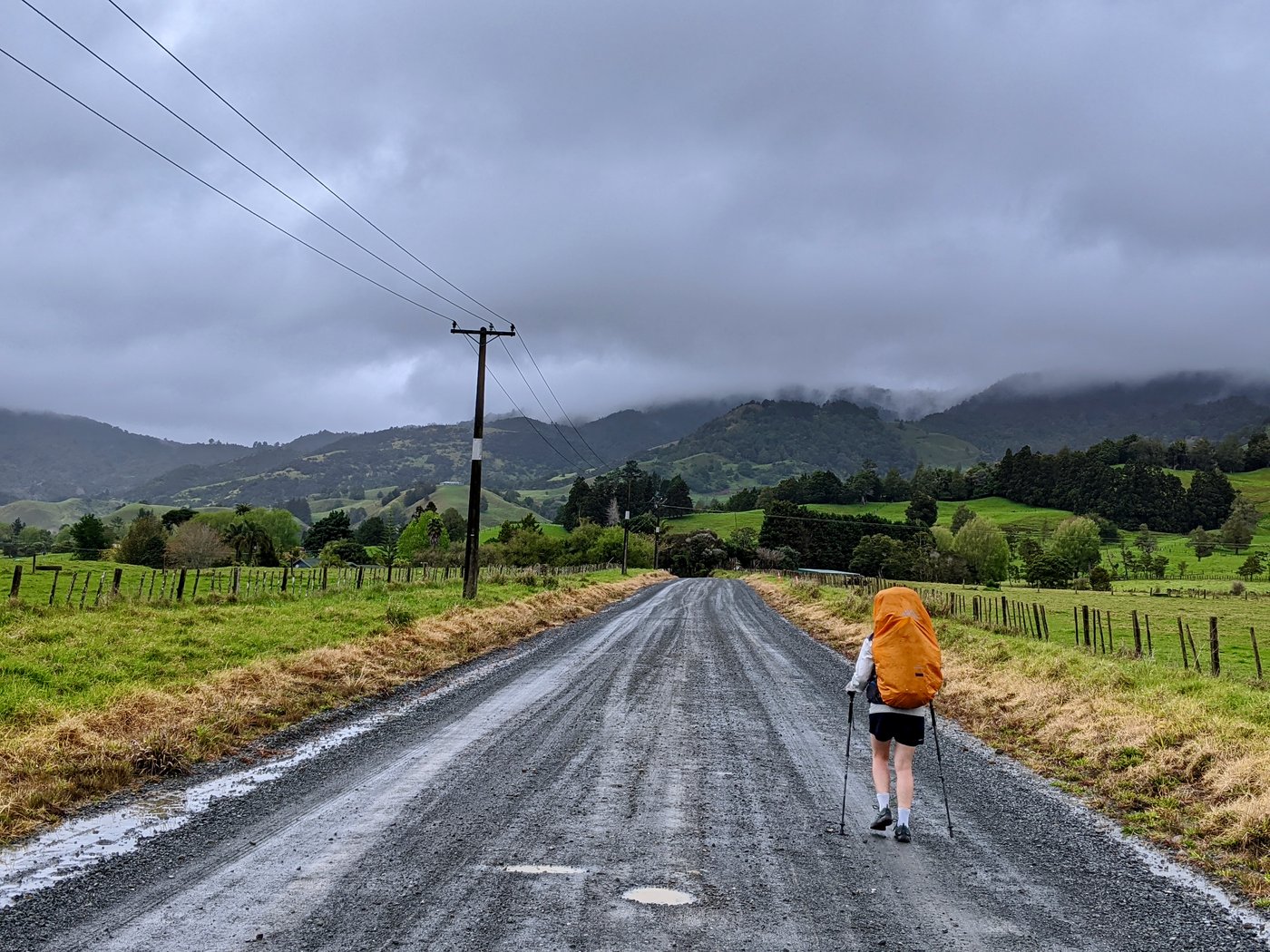 Rose walks toward Raetea forest along a gravel road.