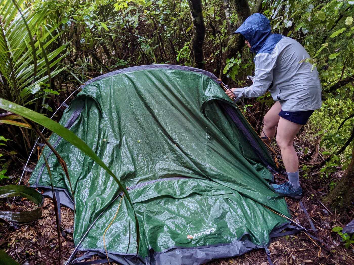 Putting up the tent in the cramped confines of the forest.