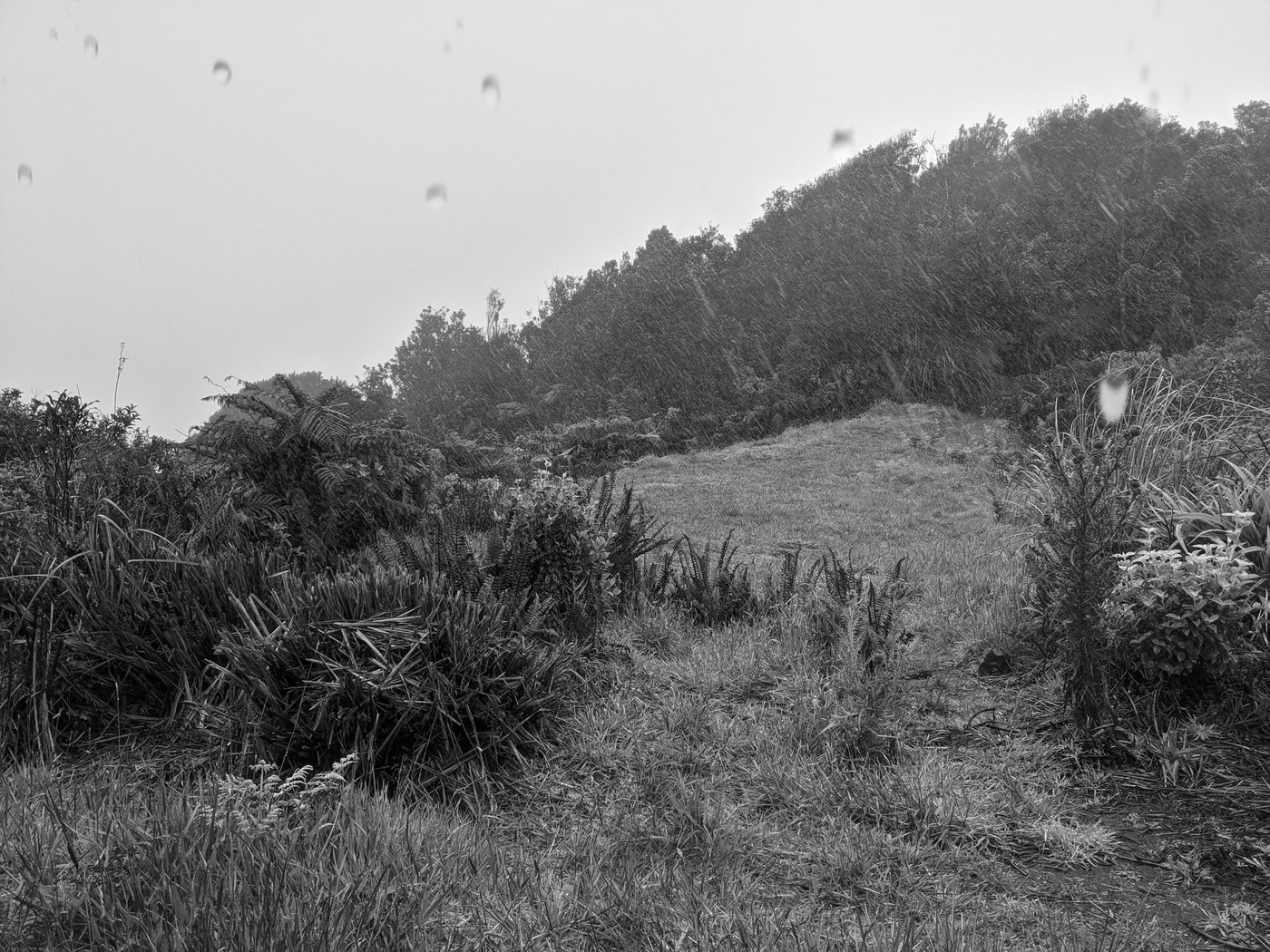 A rainy view from beneath the shelter of a hilltop weather station.