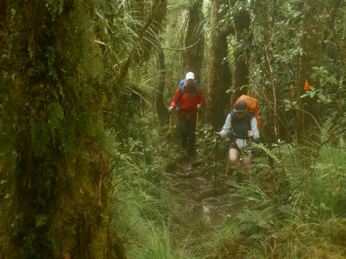 Paul and Rose splash through deep puddles of mud.