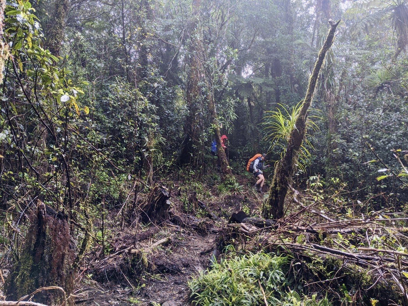 Paul and Rose taking careful steps down a mud slick descent.