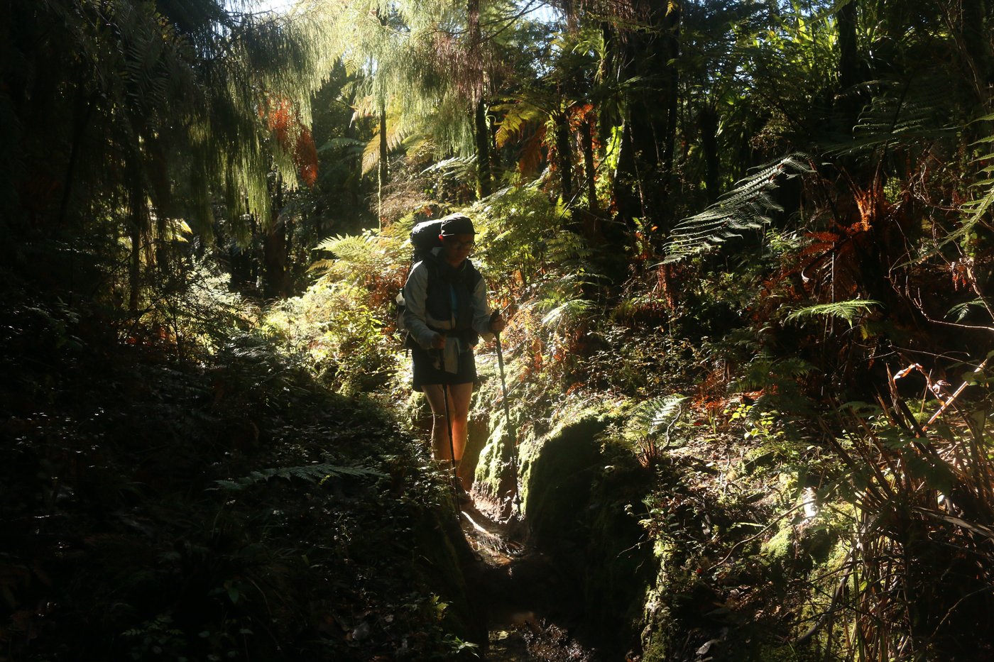 Rose is silhouetted in the shade of the forest as she picks through a narrow channel carved by the rain