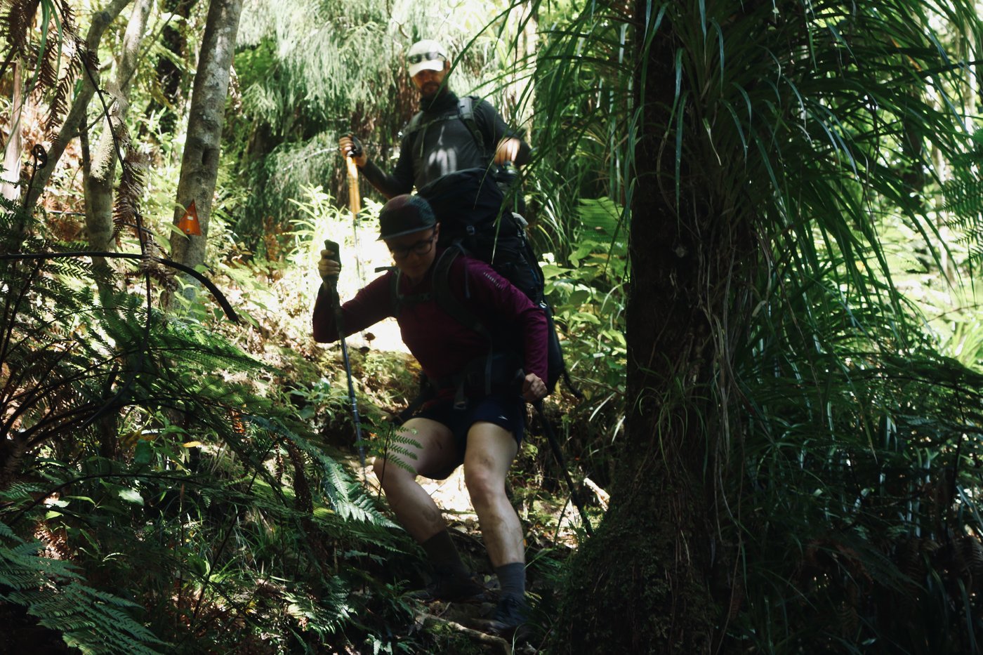 Rose and Paul negotiate a steep grade, using their poles for balance.