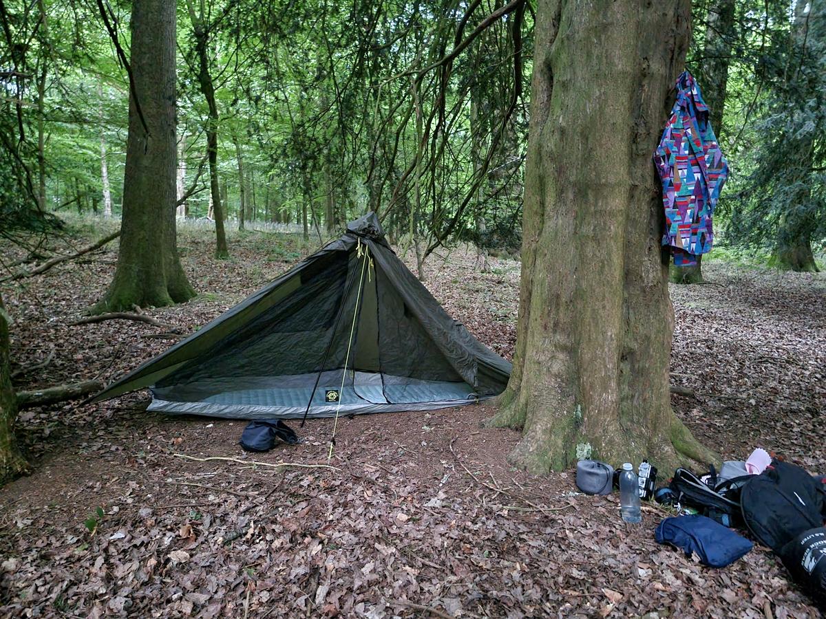 My tent pitched in the forest of the 4th Lord Vestey