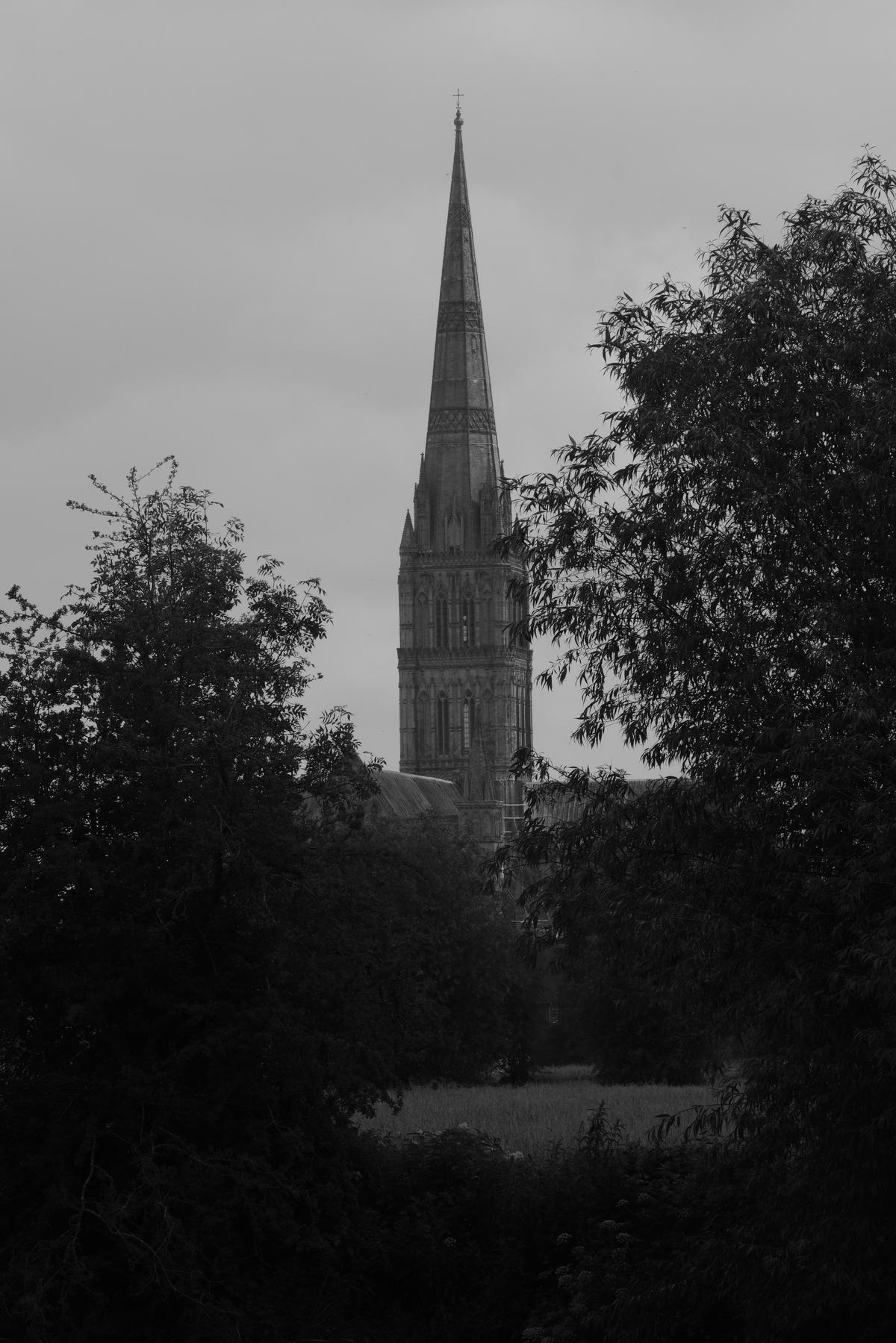 The magnificent Salisbury Cathedral peers out from behind the greenery