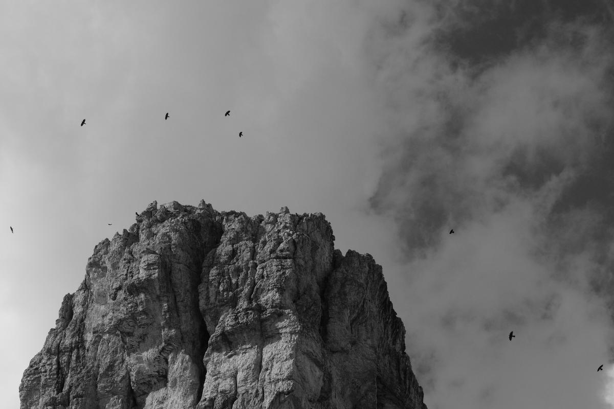 Birds in flight above a rocky peak. Tre Cime di Laverado, Italy