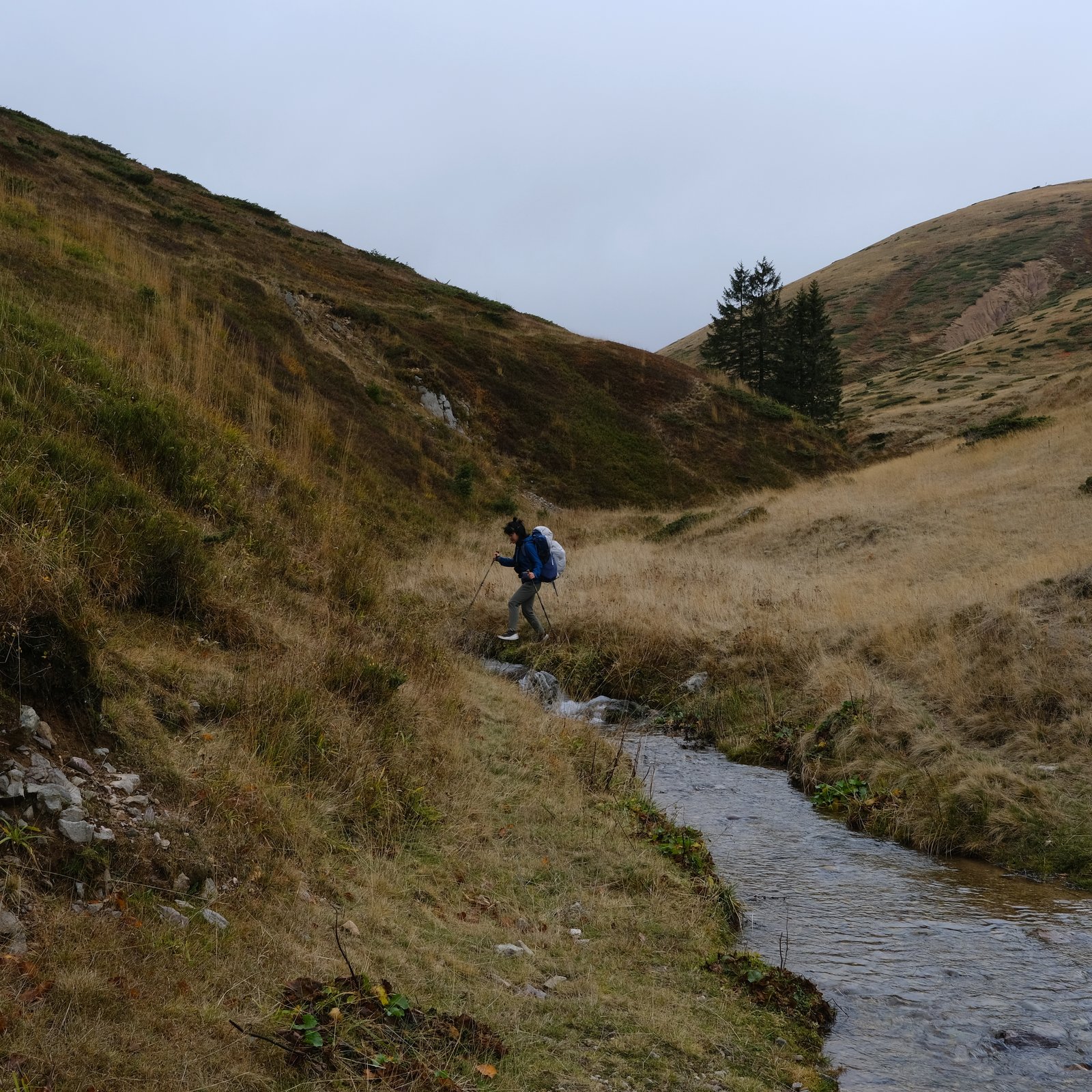 Mizuki hops across a stream about a day and a half from the Montenegrin border with Albania