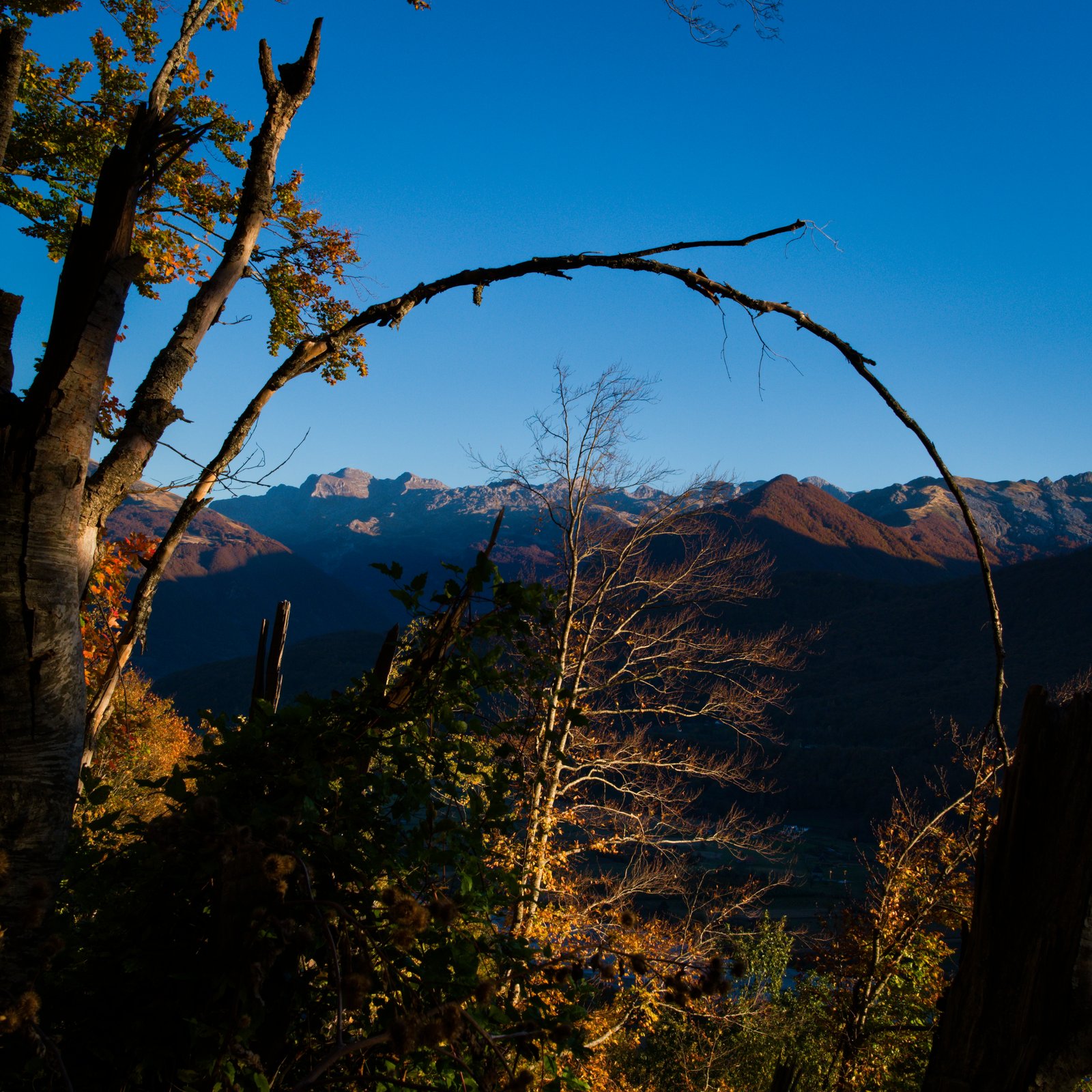 A tree creates an arch, framing the mountains beyond. Near the Montenegrin/Albanian border.