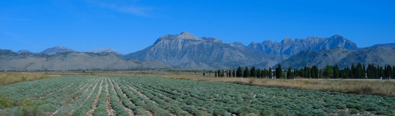 Fields backed by mountains on the way to Shkodër, Albania