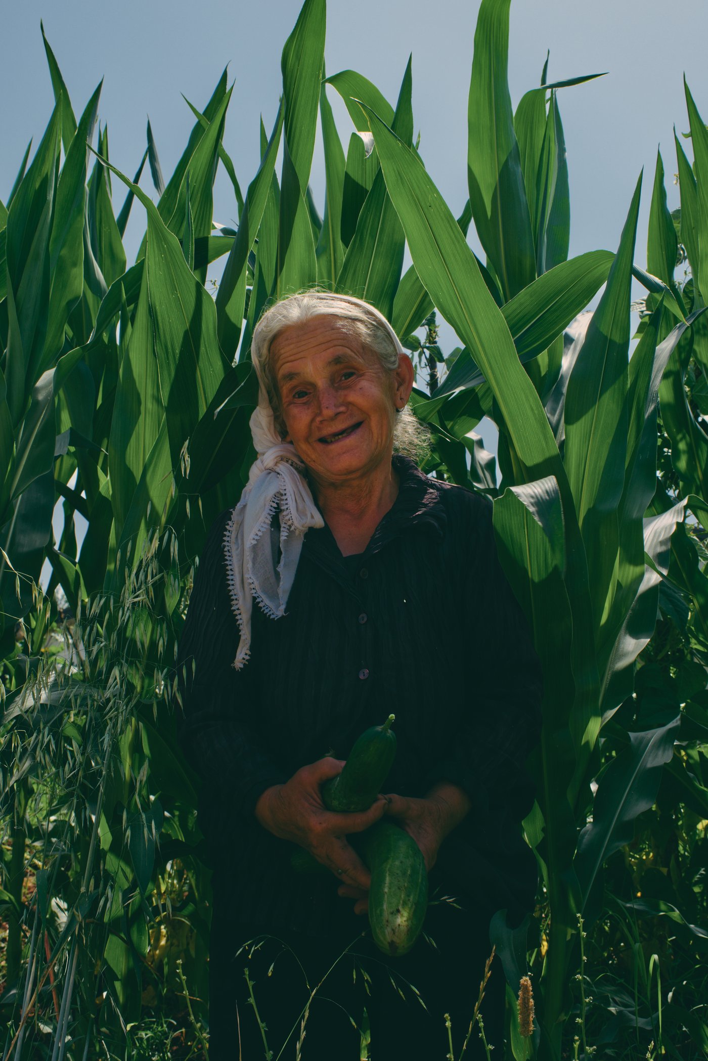 In a village just north of Labrazhd, a smiling woman appeared from behind the maize with a pair of freshly picked cucumbers for me as I walked by on a very hot day. Albania