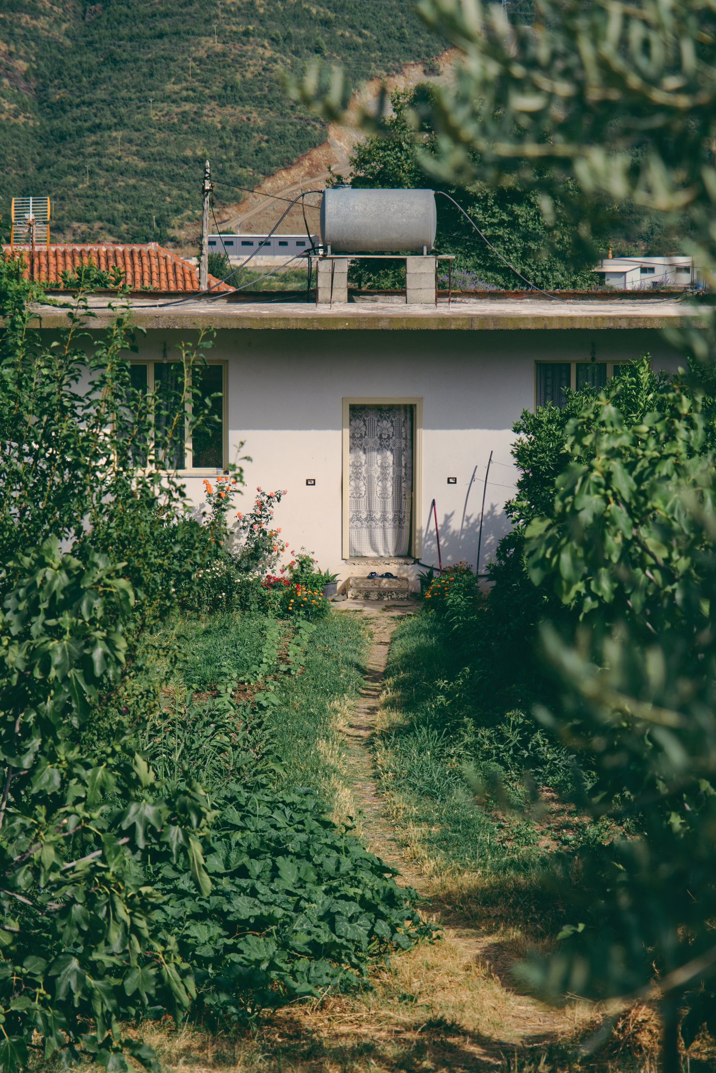 A narrow path leads through a heavily planted front garden to a small single story home outside Elbasan, Albania