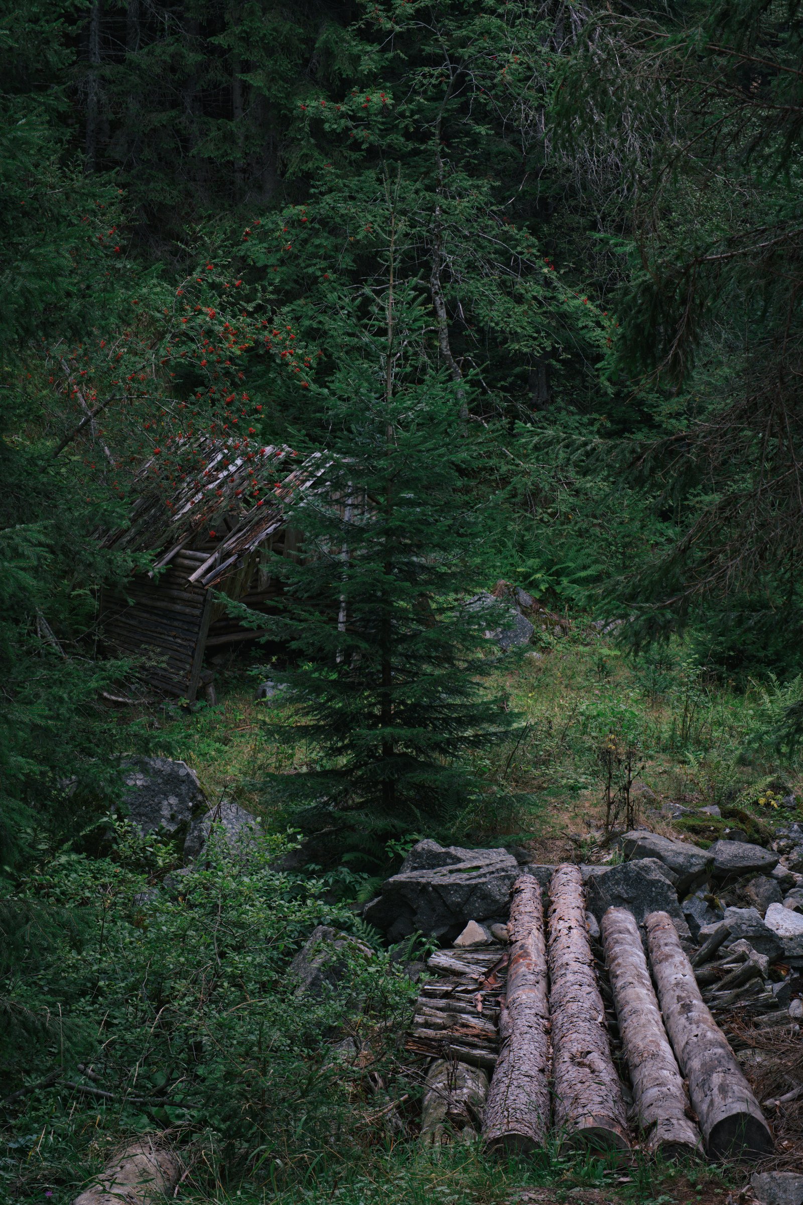 An abandoned cabin in the forest as I climbed into the Rila mountains, headed for Mount Musula, the tallest peak in Bulgaria