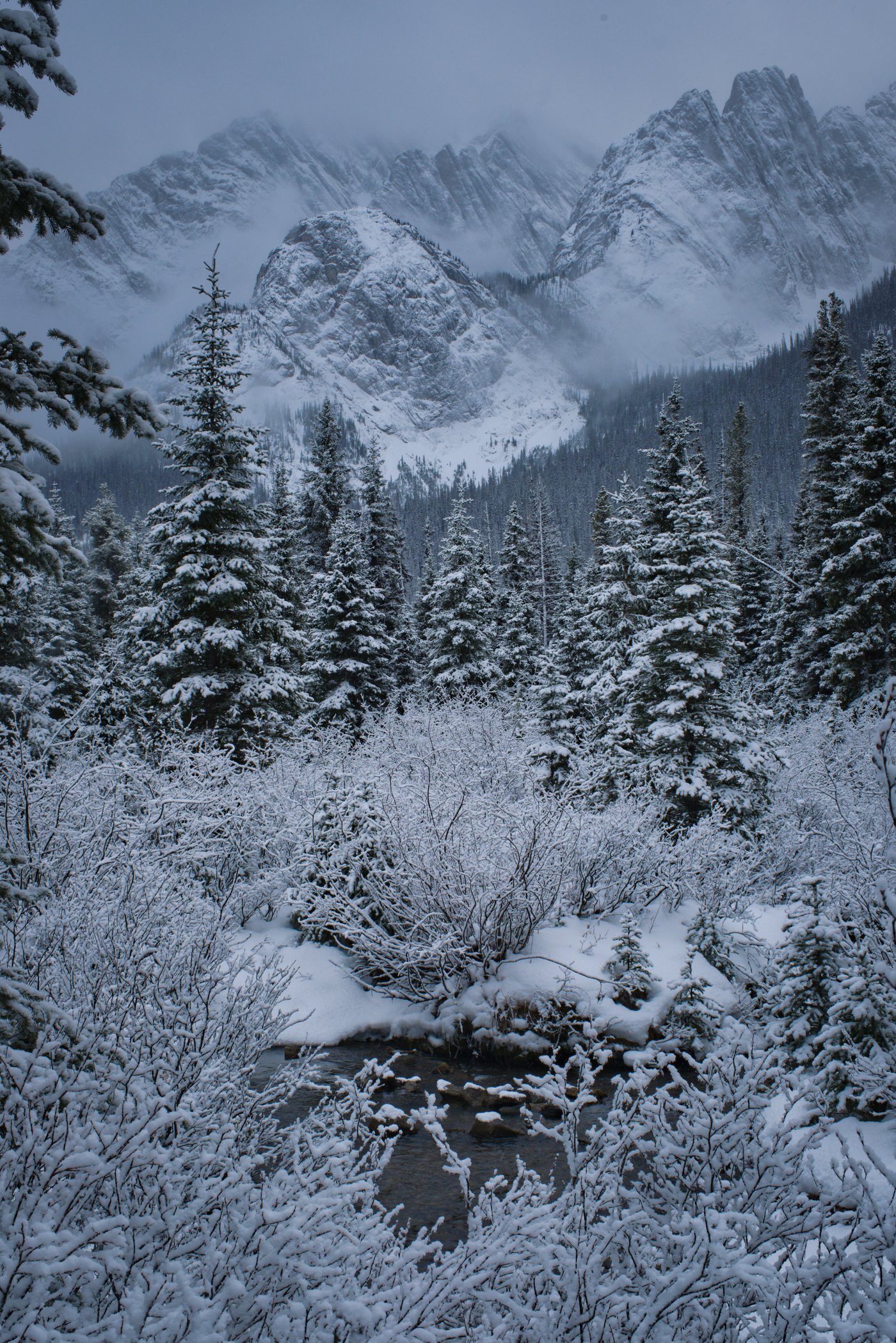 Mountain, forest, and stream. Elk Lake, Kananaskis, Canada