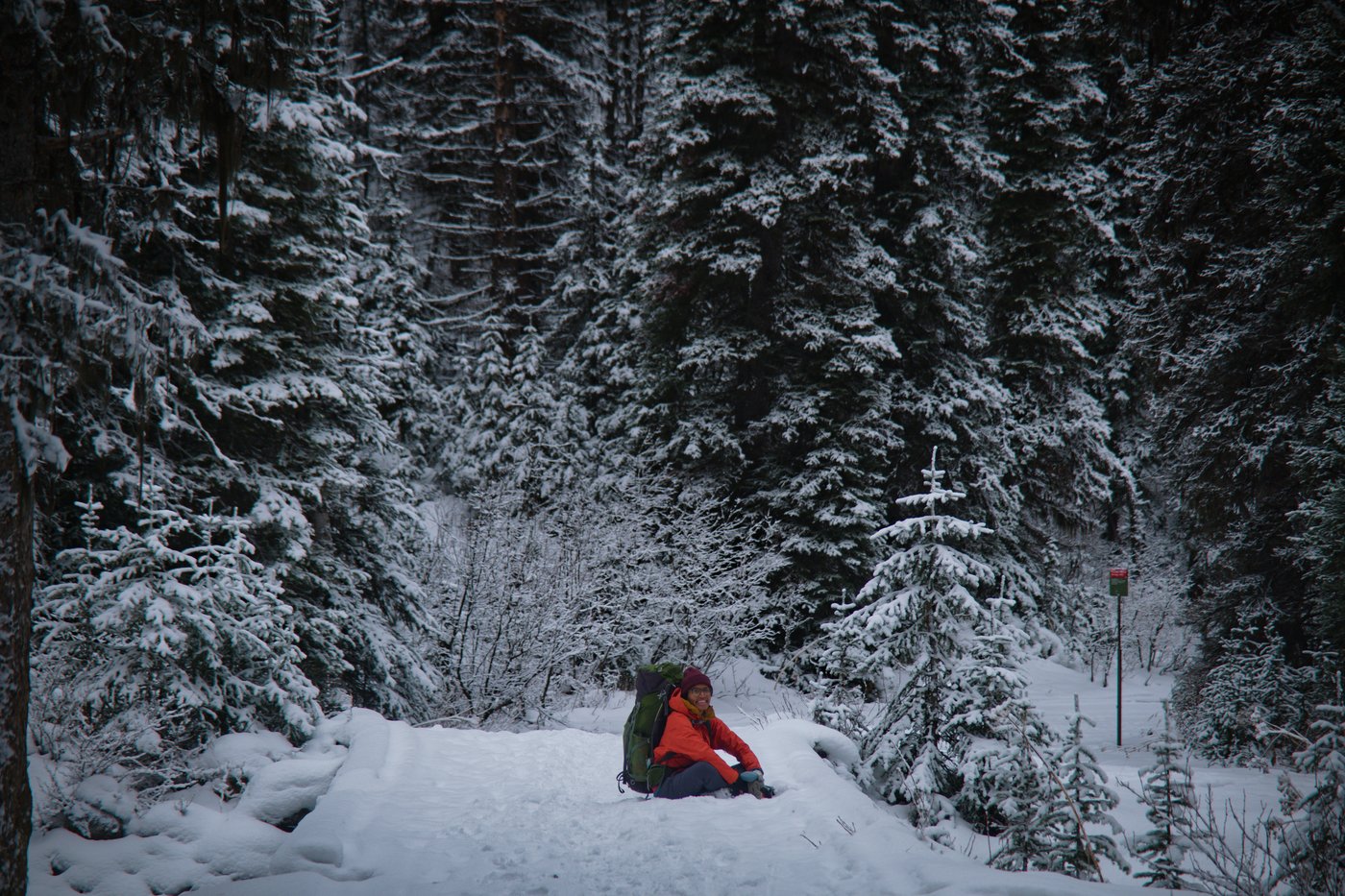 Avvai taking a break in the snow near Elk Lake, Kananaskis, Canada