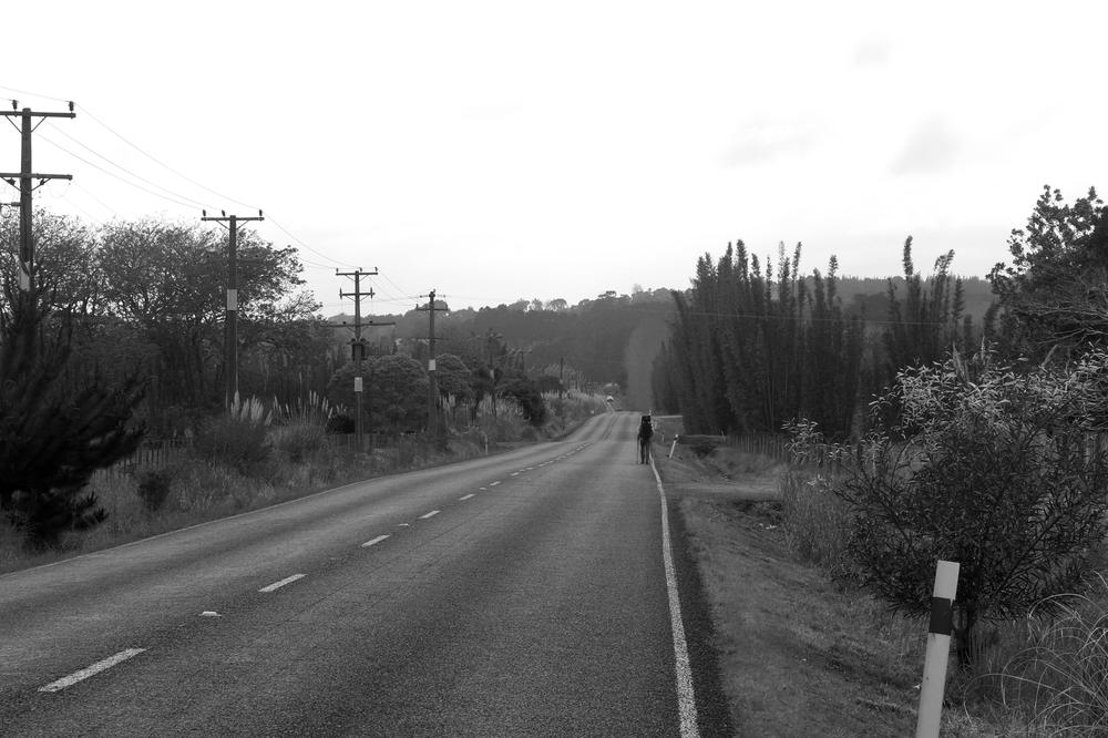 Road walking between Ahipara and Kaitaia.