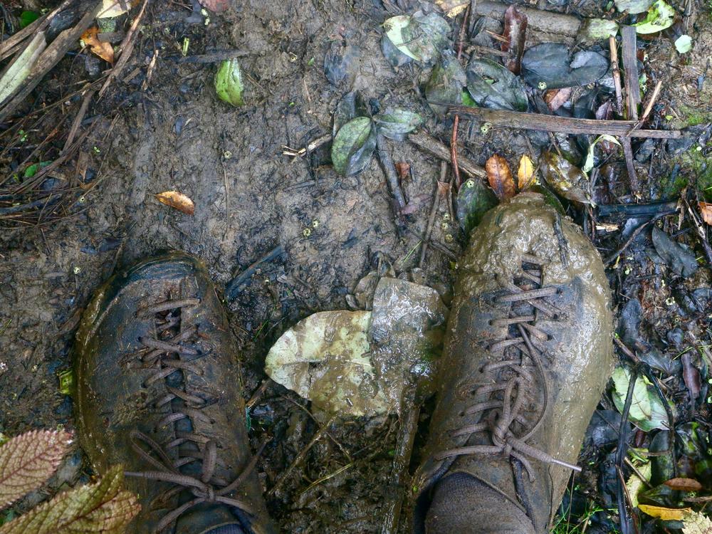 My muddy shoes, their natural colour completely subsumed by the mud.