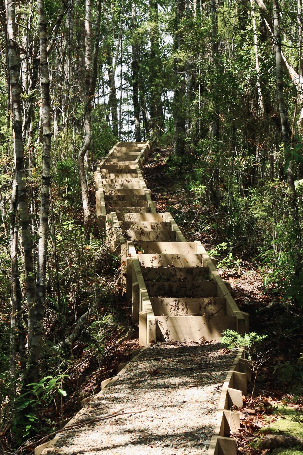 A sample of the never-ending steps.