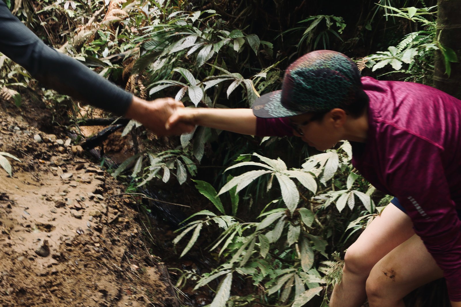 Paul grips Rose's hand and helps pull her across the creek.