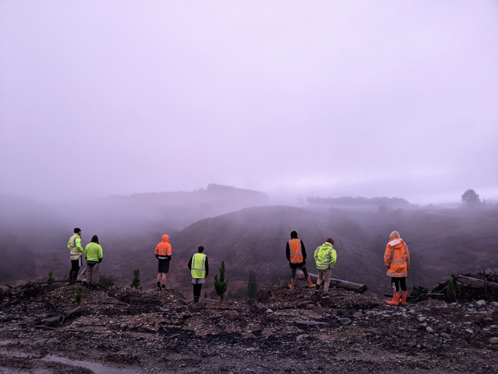 Seven planters, atop a hill, surveying the work to be done.