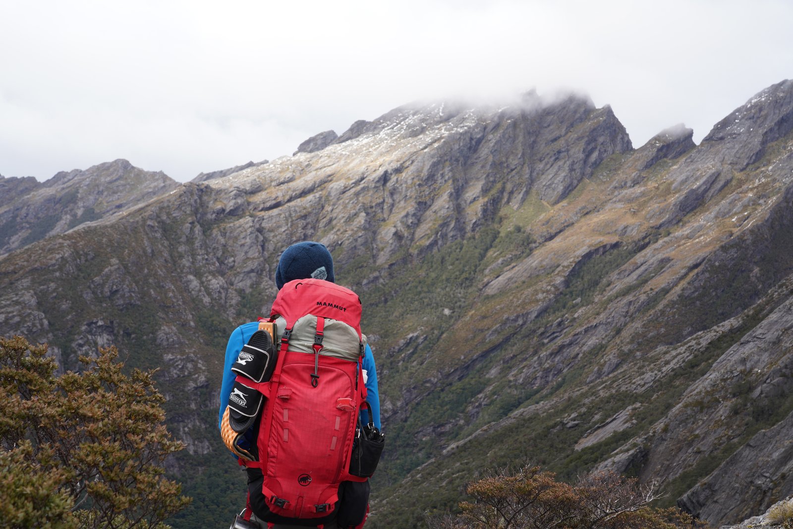 Manu looking across at the Dragon's Teeth, Kahurangi National Park, New Zealand. October, 2022