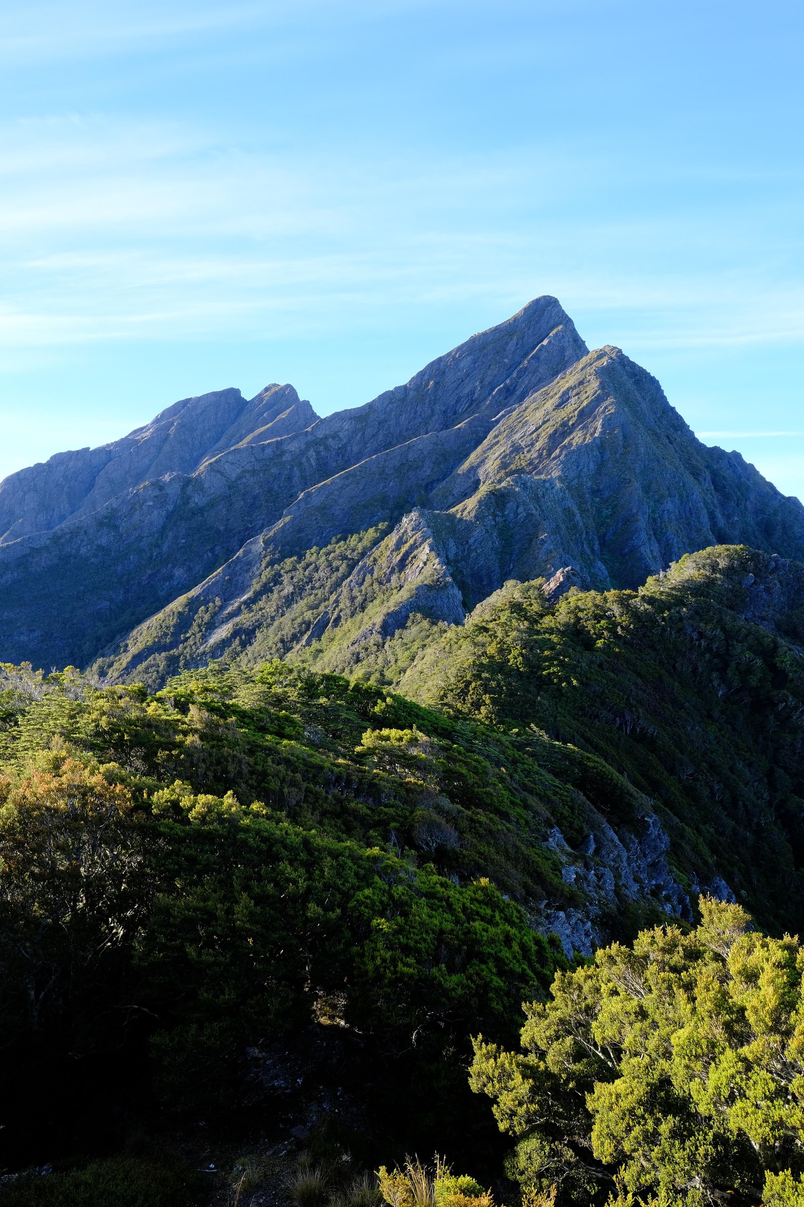 The view of the teeth from the western end of the Douglas Range. Kahurangi, New Zealand