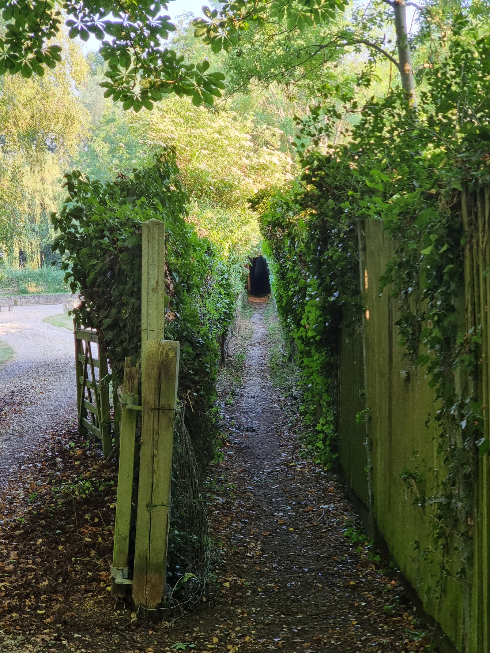 A little laneway made for a good shortcut in the afternoon