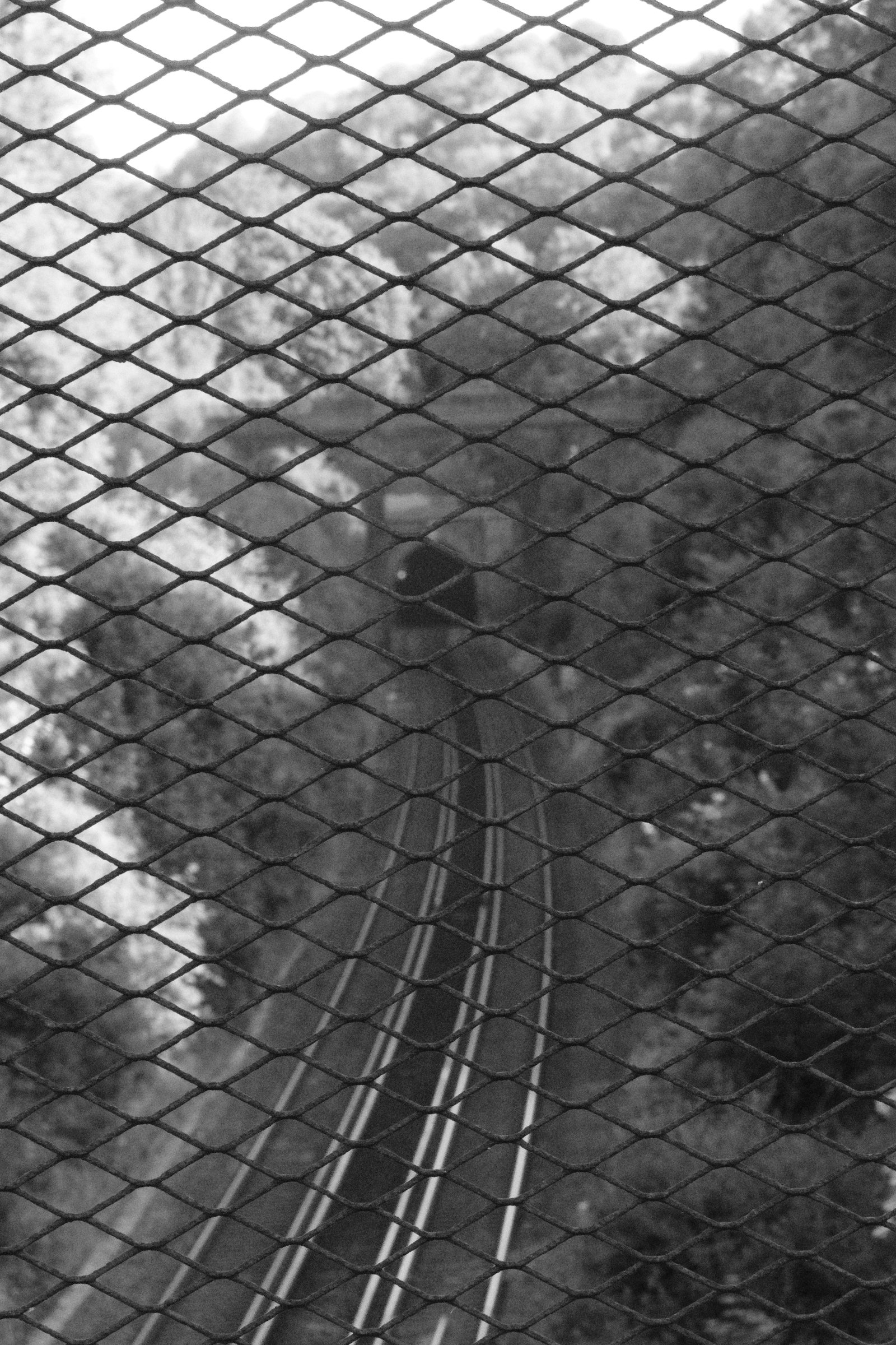 Rail tracks seen through a chain link fence