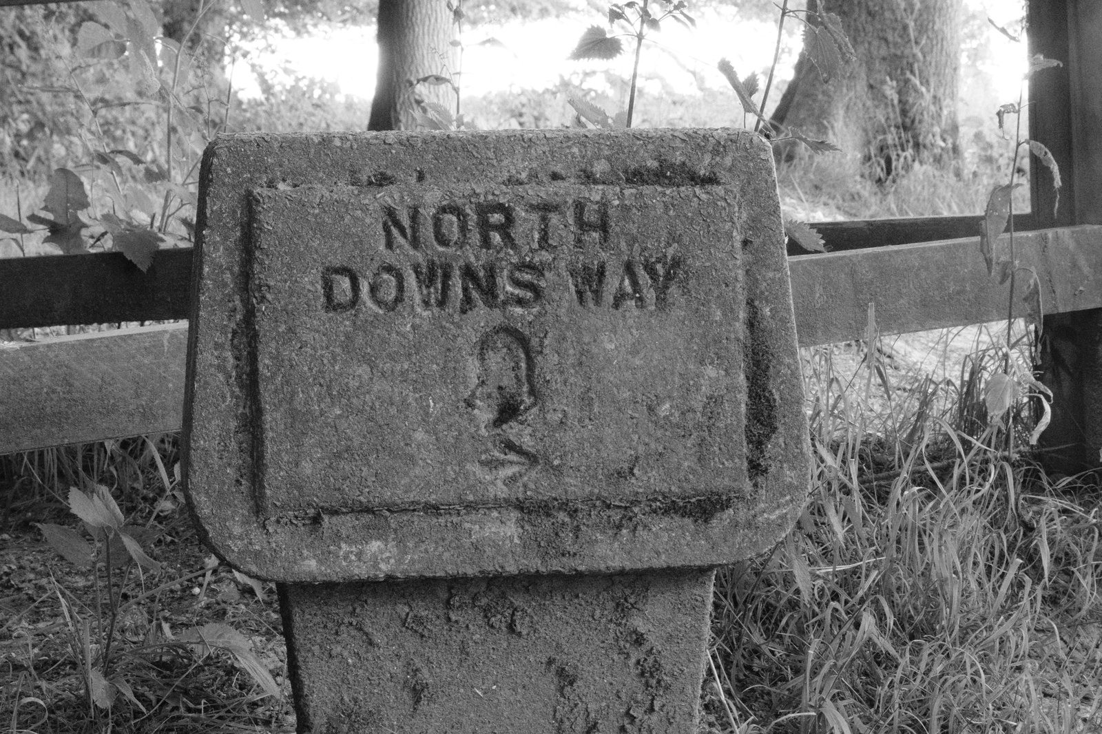 A stone marker reads 'North Downs Way'