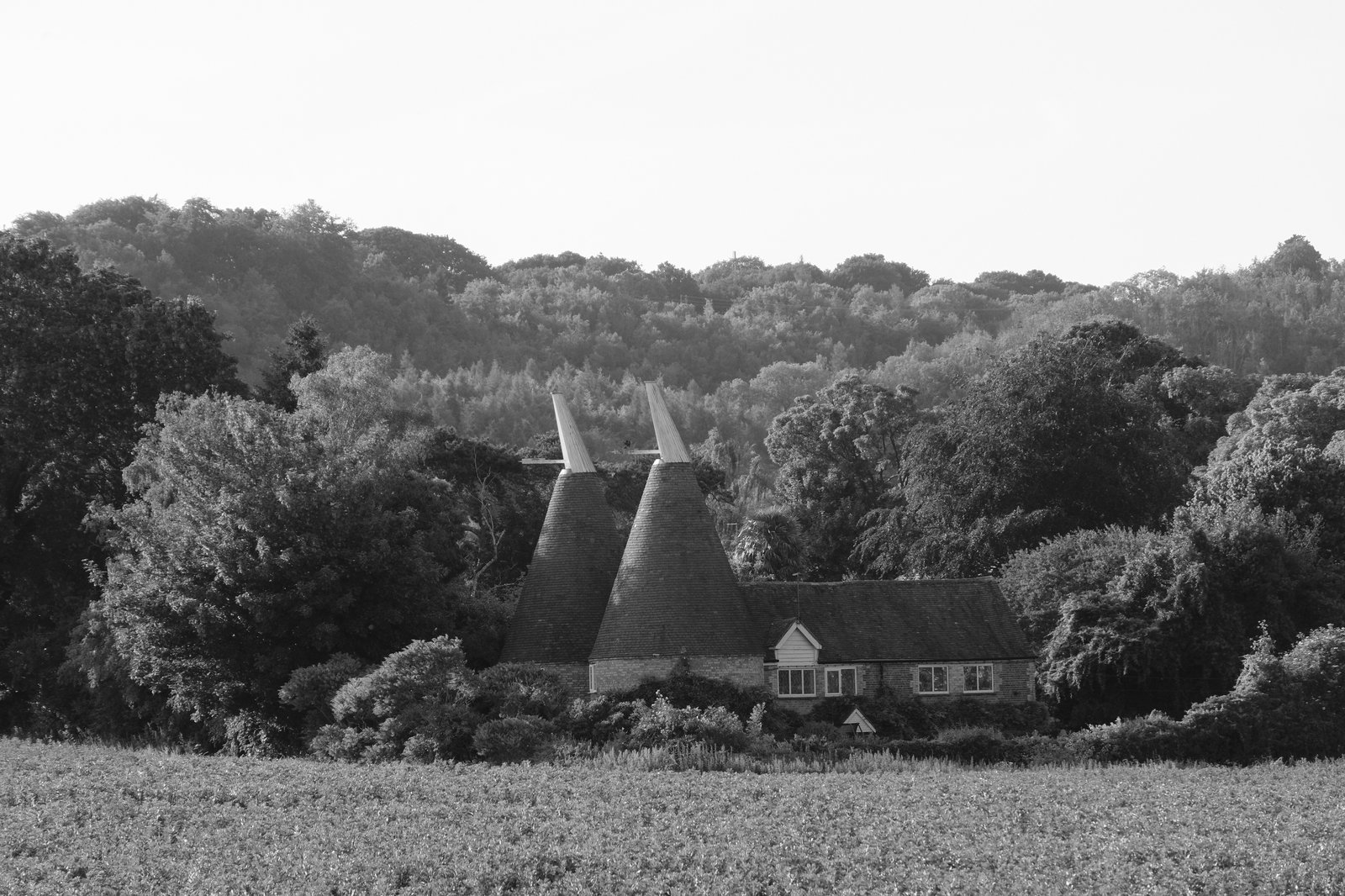 An old brick house with two coned rooves sits nestled in a wood