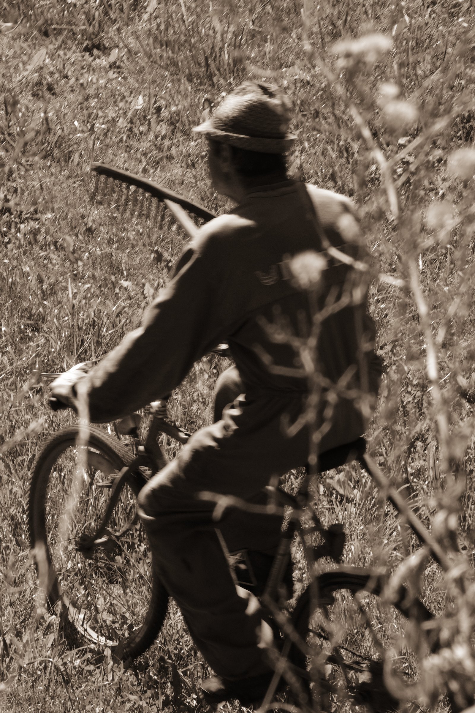 An elderly man cycles clowly through a field, carrying a rake for pulling all the cut grass together. Italy