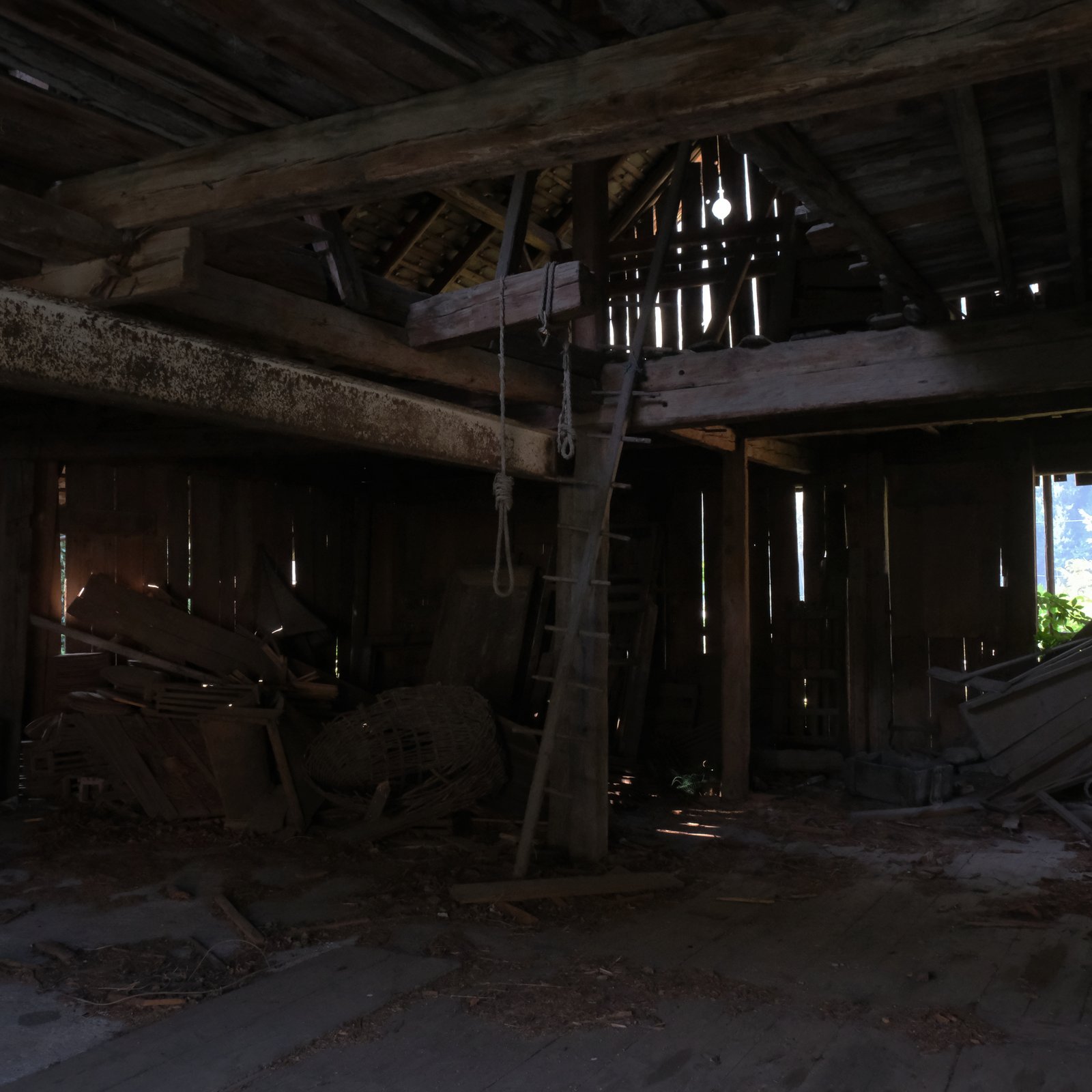 An ominous noose and a precarious ladder in clear view after climbing down from my home for the night. Austria