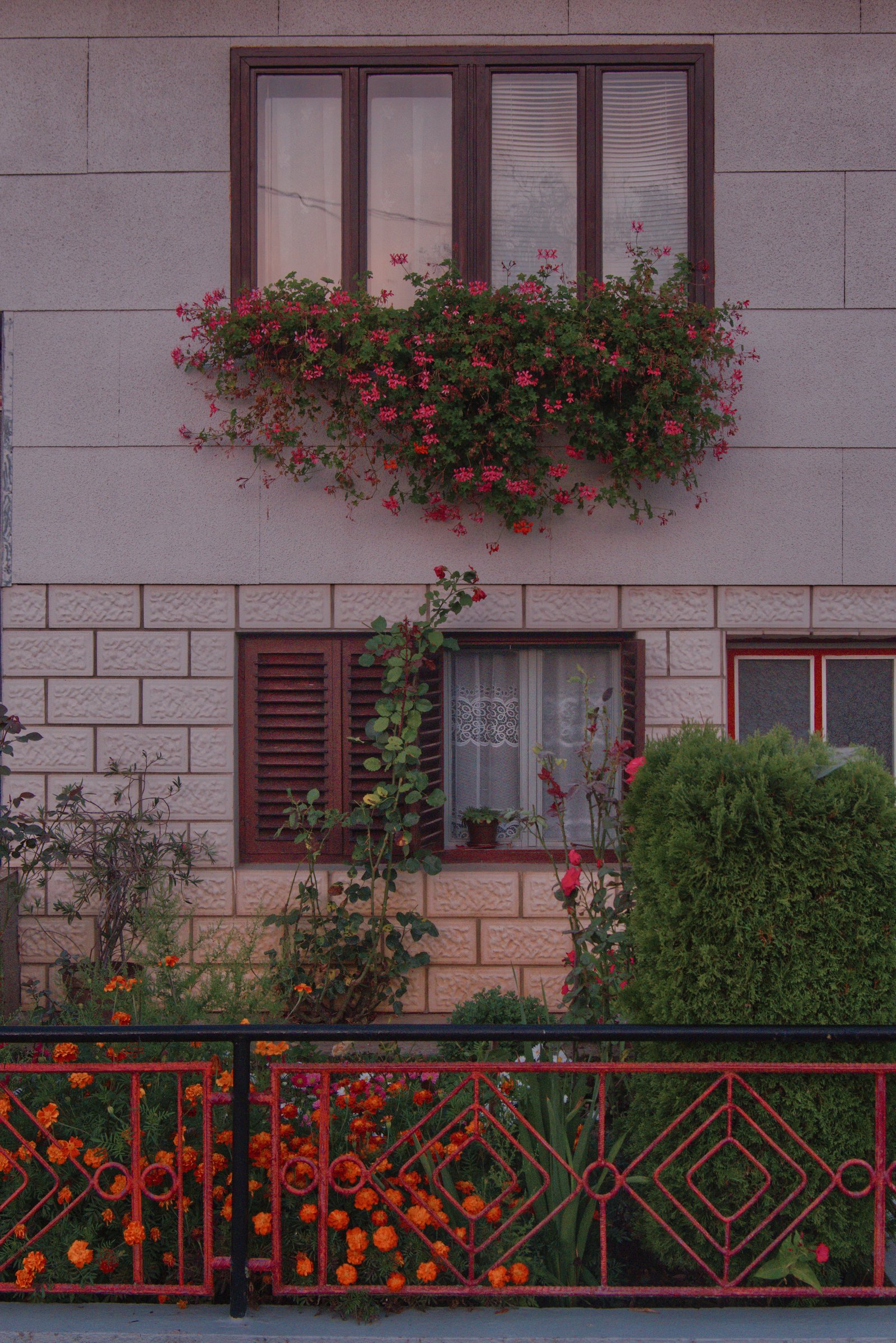 A busy but well choreographed front garden in rural Croatia