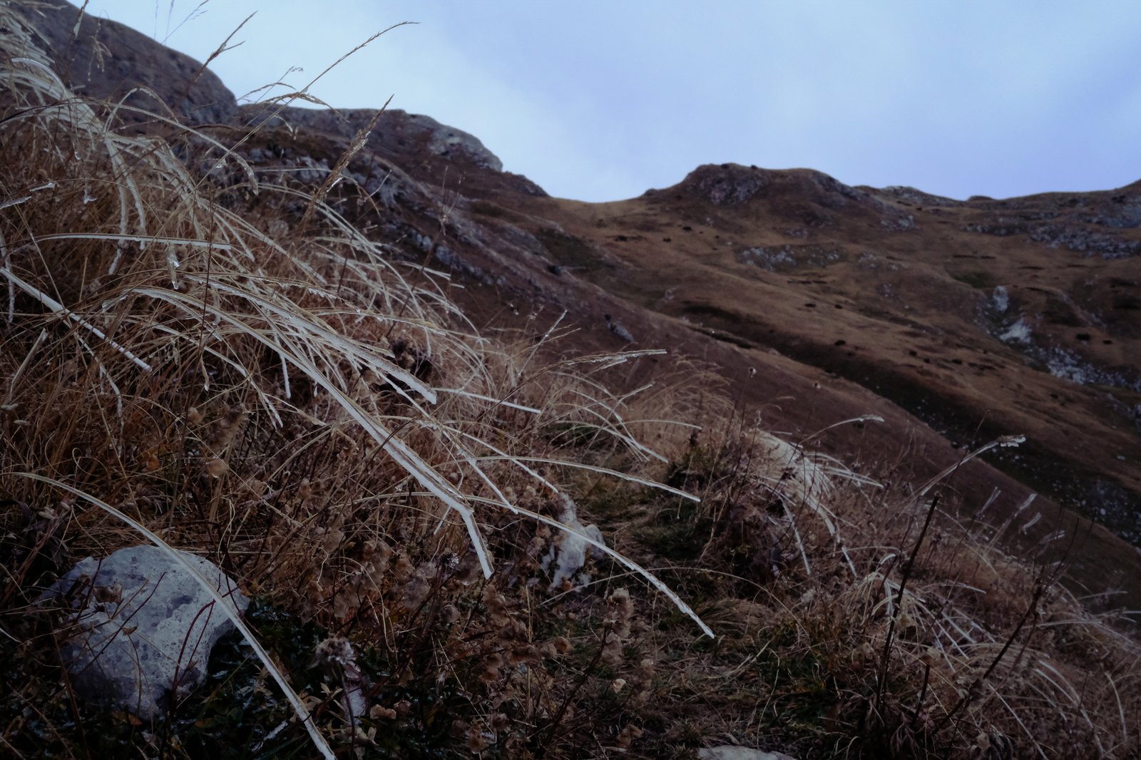 Ice/frost still clinging to the tussock grass in the evening as we climbed toward Maglic from the Montenegrin side.
