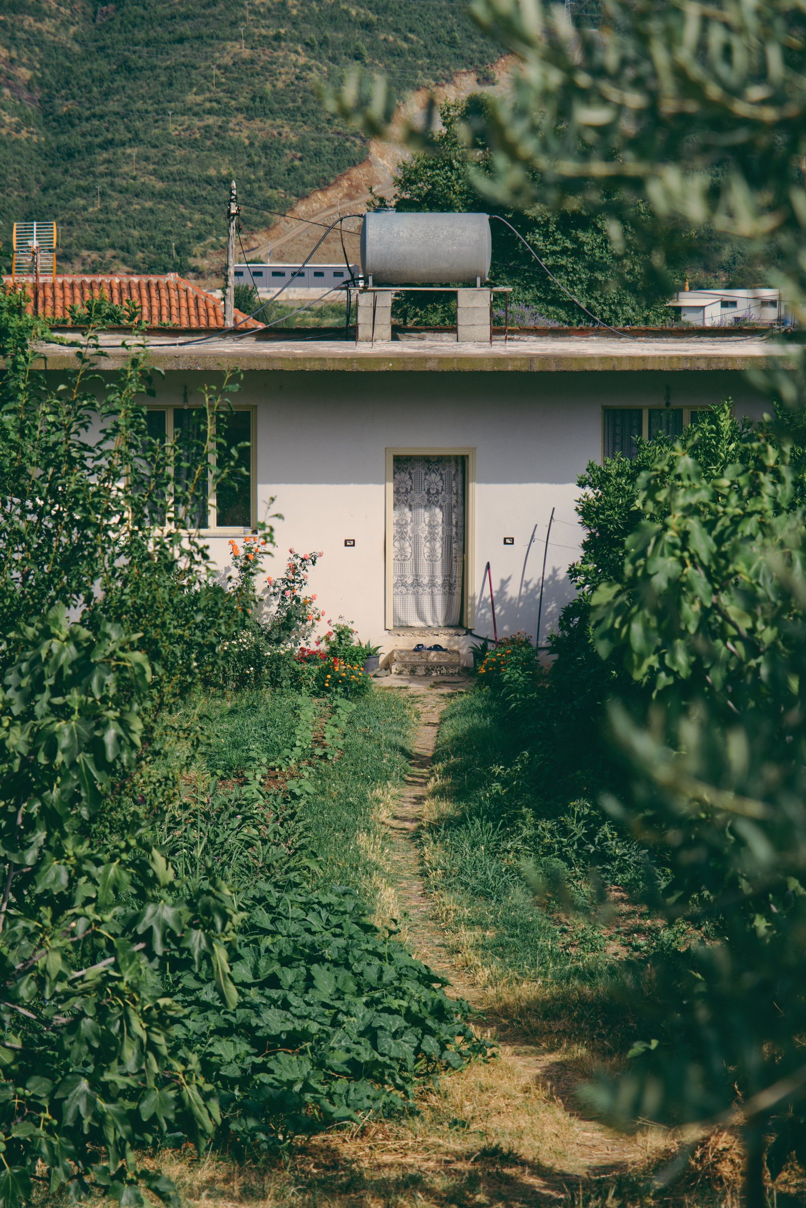 A narrow path leads through a heavily planted front garden to a small single story home outside Elbasan, Albania