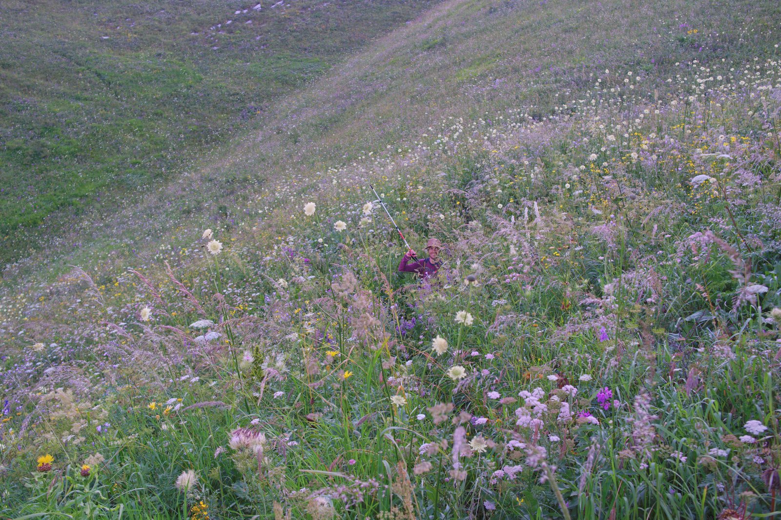 Jonny's head pokes out from the thick, sodden undergrowth that we spent much of the morning of day four wading through. Armenia
