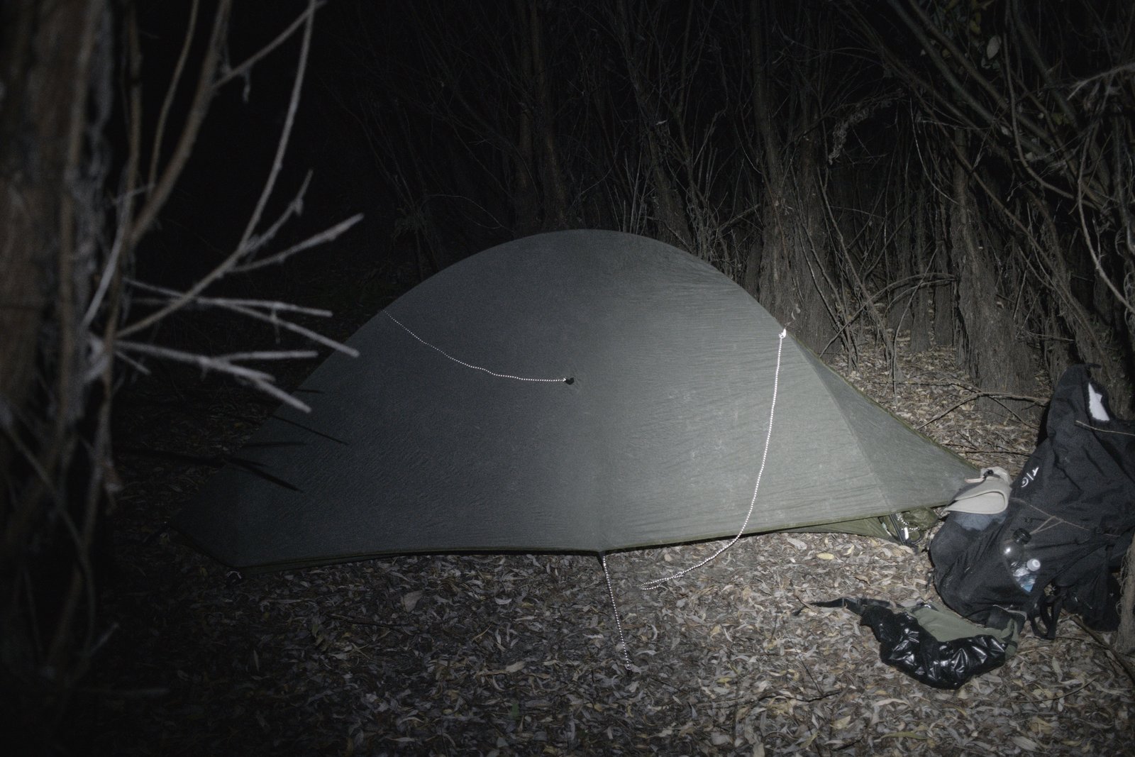 My tent, pitched in a daze at 2.30am amongst the groves on the West bank of Volga river, south of Astrakhan, Russia.