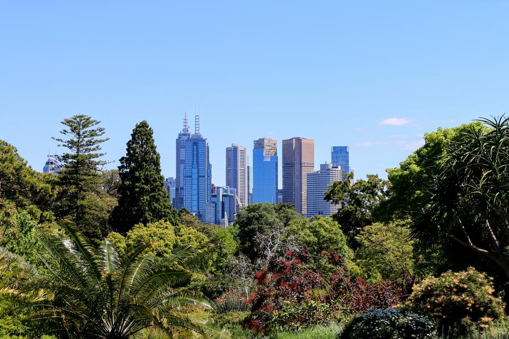 The Melbourne city skyline visible from the Botanic gardens