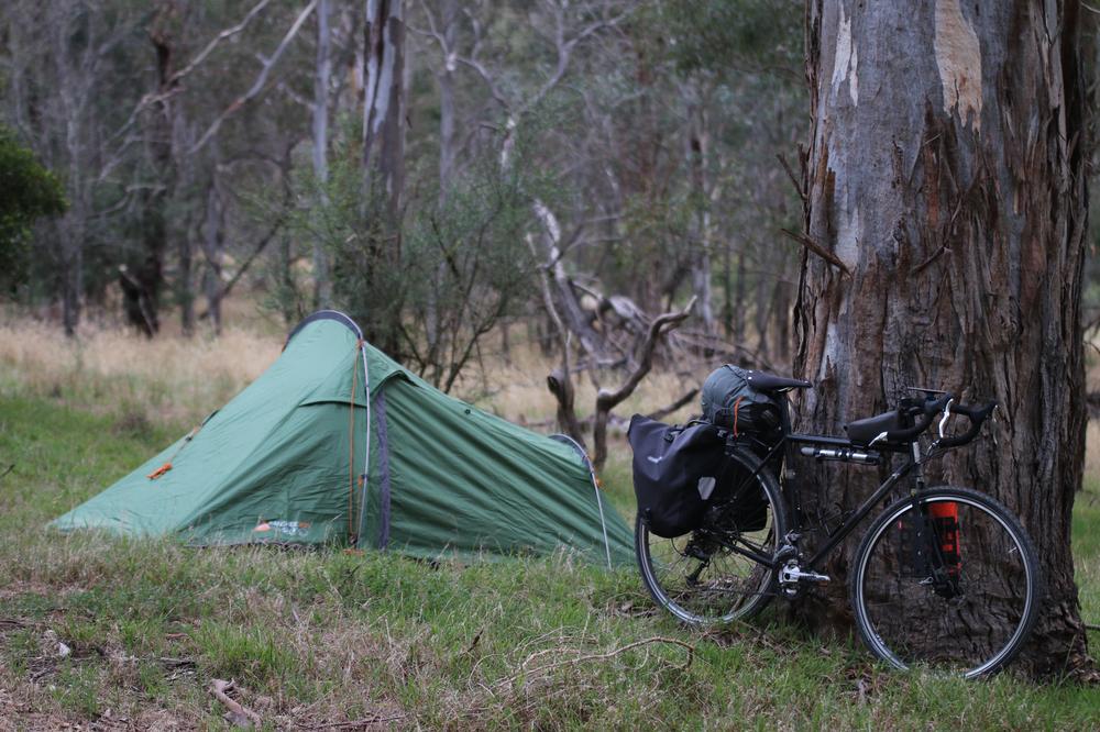 My bike leaning against a tree with my tent pitch in the background