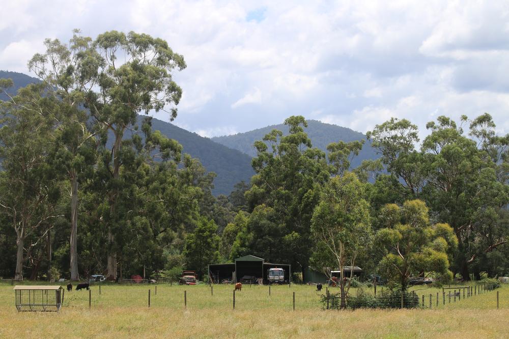 A farmstead in the Yarra Valley