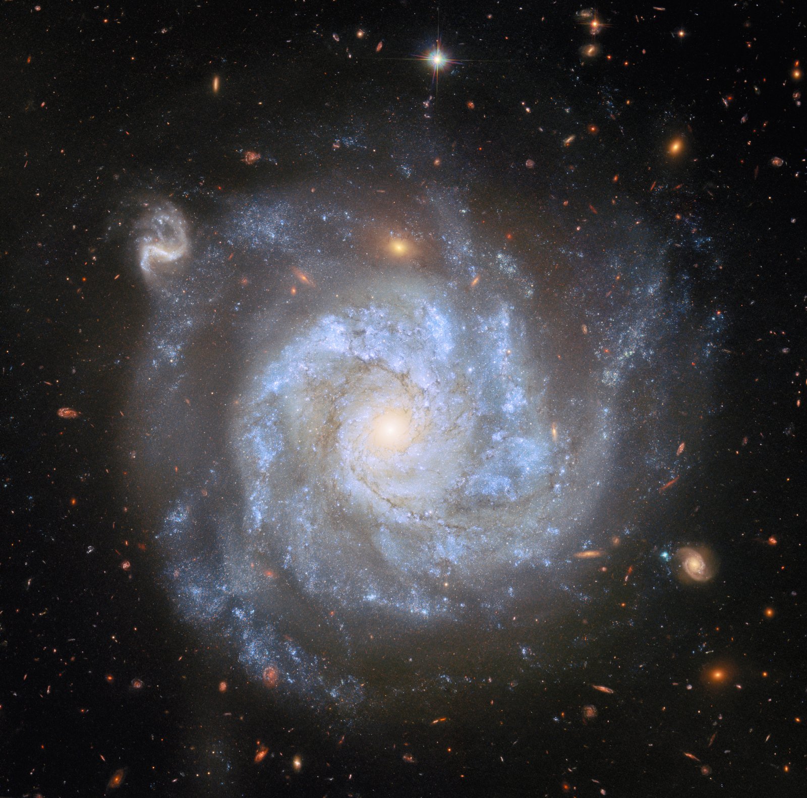 NGC 1309: A Useful Spiral Galaxy